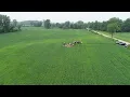 Michigan Clovis Site Discovered