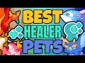 The Best Healing Pets In 2025 Prodigy Math Game
