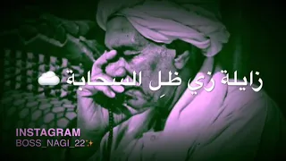 الدنيا سيبا قبل تسيبك 