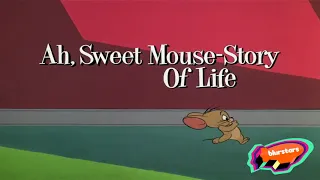Blurstars USA Tom And Jerry Starts Now Bumper Ah Sweet Mouse Story Of Life 1965 Opening 