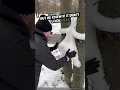 He Built a Snow Rabbit and What Happened Next Was Shocking
