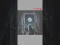 Download Lagu kucing kesepian #short #videoshorts #viralshorts #viralshorts #sedih #kucing #kesepian