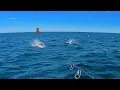 We took a 32ft Boat 105 MILES Offshore from Alabama in search of Giant Fish