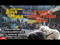 Download Lagu FULL KESURUPAN !! KEWAN KEWAN  TOPENG LORENG BINA MUDA SPECIAL PERFORM MUNGKIDAN MERTOYUDAN MAGELANG