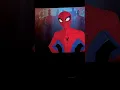 Spectacular Spider-Man in spider man across the spider verse