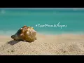 ASMR Ocean Waves: Relaxing Sounds for Meditation, Study, and Yoga #asmr #meditation #studymusic ☺️