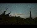 Kygo, Max McNown - Take Me Back (Robin Schulz Remix)