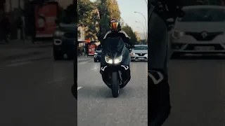 عايشين الدنيا بمعزه  دندنها