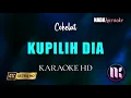 Download Lagu Kupilih Dia Karaoke - Cokelat