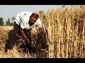 عباس جميل وهناء مهدي ~ سنابلنا~