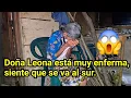 😱DOÑA LEONA SIENTE QUE YA NO PUEDE MÁS, PERO NO QUIERE COLABORAR CON IR AL DOCTOR.😱