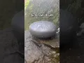 Download Lagu Wait for the last one 🤩😌🌧️ #nature #drums #garden #outdoors #instrument #rain #relaxing