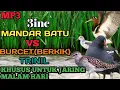 Download Lagu suara pikat 3in1 mandar, burcet dan trinilkadidi durasi pendek