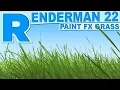 Renderman 22 Paint FX Grass Tutorial