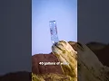 What s Actually Inside A Camel s Hump