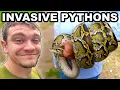 Hunting Invasive Pythons in the Florida Everglades