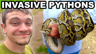 Hunting Invasive Pythons in the Florida Everglades