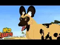 African Wild Dogs Wild Kratts