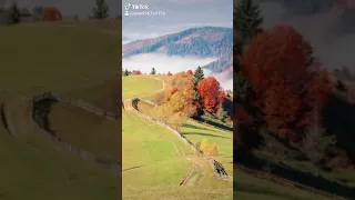 رامي صبري دنا خاصمت الشوارع 