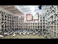 Download Lagu Beautiful Pigeon Colony | Big Pigeon Loft | Teddy Kabootar
