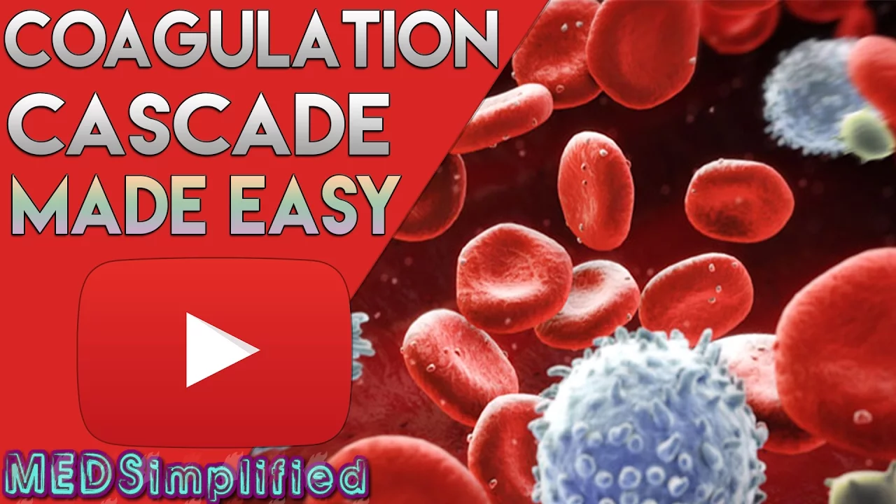 Coagulation Cascade SIMPLEST EXPLANATION !! The Extrinsic and Intrinsic Pathway of HEMOSTASIS