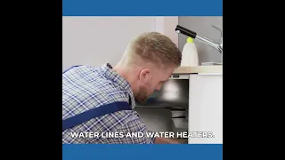 Https Youtube Com Shorts XFi8VLCnw3Y Feature Share  Https Youtube Com Shorts XFi8VLCnw3Y Feature Share