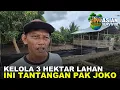 Lagu PERJUANGAN PAK JOKO DUKUNG KETAHANAN PANGAN KALIMANTAN, TANAM PADI DAN JAGUNG LAHAN TRANSMIGRASI