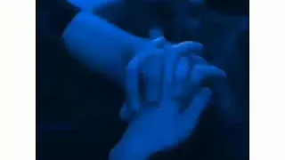 كليب مهرجان حريم زينة حمو بيكا 