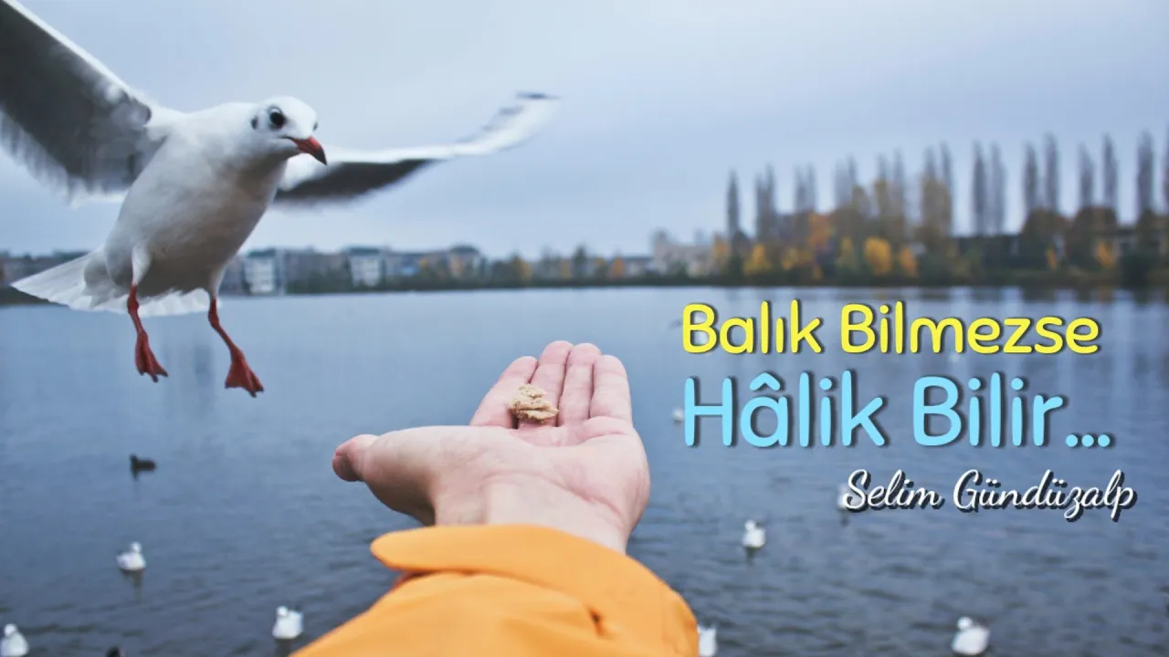 İyilik yap denize at balık bilmez ise HALIK BİLİR