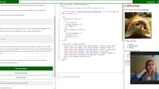 Basic CSS Use CSS Selectors to Style Elements