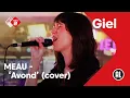 Download Lagu MEAU - Avond (Boudewijn de Groot cover) | NPO Radio 2