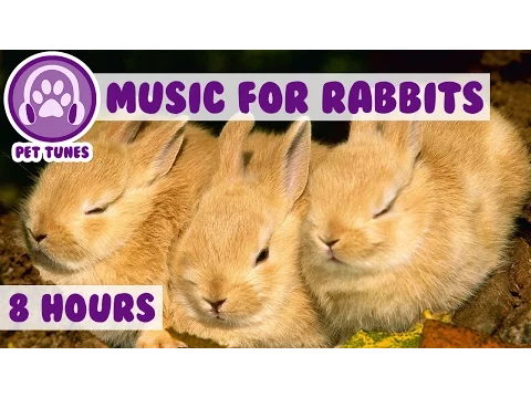 Download MP3 Over 8 HOURS of Relaxing Music for Rabbits! Natural Stress and Anxiety Relief for Rabbits!