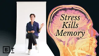 A neuroscientist s guide to protecting your brain in 58 minutes Lisa Genova Full Interview