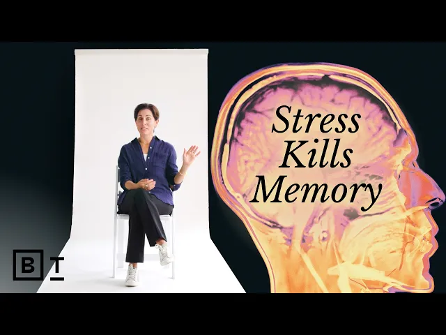 Video: A neuroscientist’s guide to protecting your brain, in 58 minutes | Lisa Genova: Full Interview