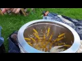 Starpluck SP-1 Chicken Plucker In Action