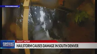 Tree crashes into Centennial home during storm Caught on camera