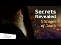 Download Lagu Secrets Revealed : 5 Stages of Death