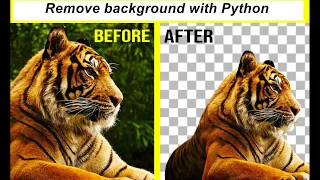 Remove image background with python