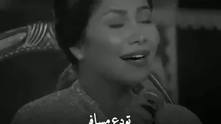  اللي بيفكر يفارق بس لولا المشاعر   دندنها