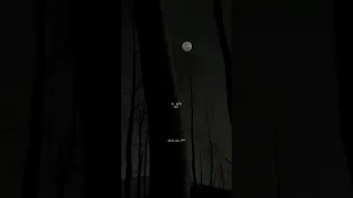 ليل ليل ياليل تصميم فيديوهات اغاني ستوريات انستا 