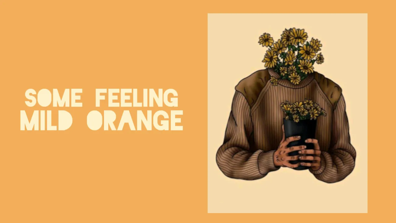 Mild Orange - Some Feeling