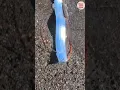 Download Lagu समुद्र से बाहर आई Oarfish मछली। Surfers find doomsday 'Oarfish' on tourist beach । Oarfish  doomsday