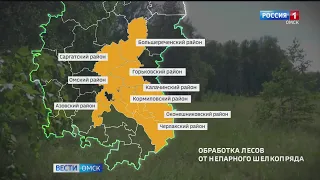 В Омской области подвели итоги летней обработки лесов от непарного шелкопряда