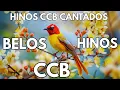 BELOS HINOS CCB CANTADOS- 28/11/2025 91,381,19,42,232,39,445,139,441,375,461,102,199,341  278.