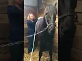 Big Dee s Tack and Vet Supply