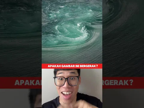 Ilusi yang WOW! Gimana? Gerak? #ilusi #illusion #mindblowing #mindblown