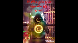 ضايع شاري وقالو انا بايع عالم عيزة الصايع 