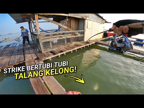 Download MP3 STRIKE BERTUBI TUBI Kelong YBT Pulau Aman!