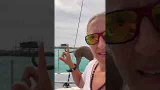 Any Ideas what these are!?!