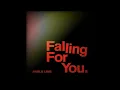 Amelie Lens - Falling For You (Extended Mix)